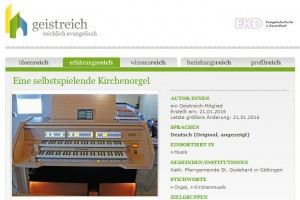 ecantore Erfahrungsbericht